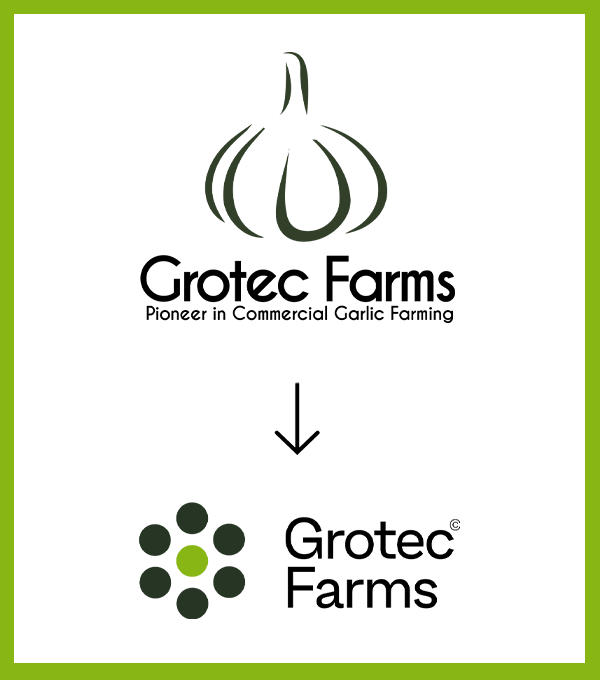 Comparison of the old and new Grotec Farms logos, highlighting the company's modernized rebranding efforts.