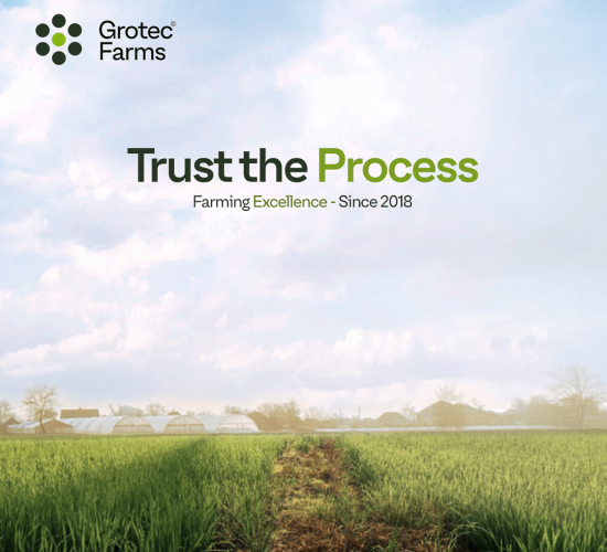 A lush green farm field under a clear blue sky with the tagline "Trust the Process - Farming Excellence Since 2018."